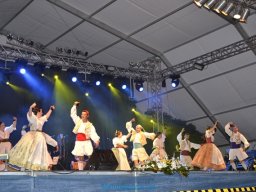 Festival de Folkore en Mula